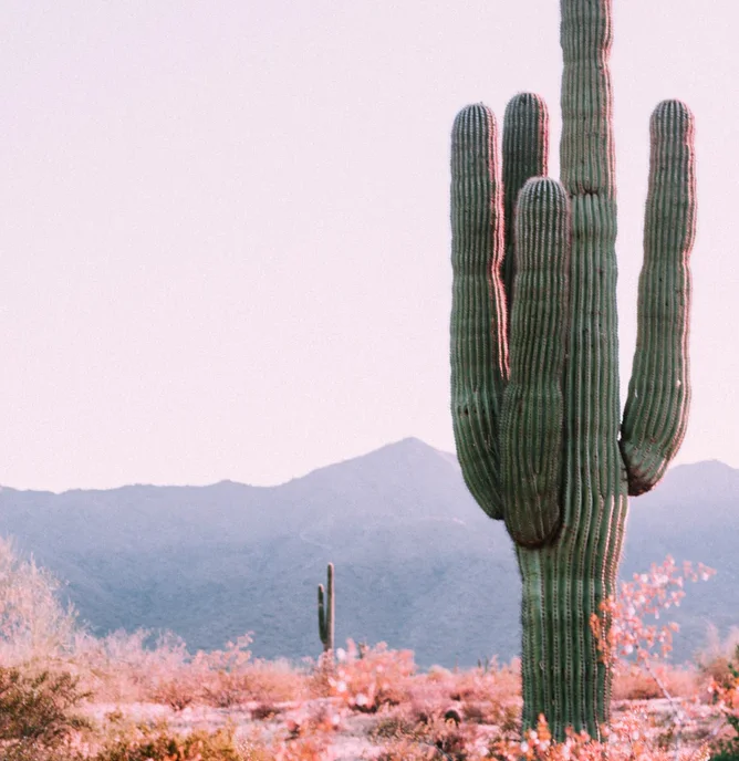 15 Reasons Arizona Is The Ultimate Adventure to Gift This Season